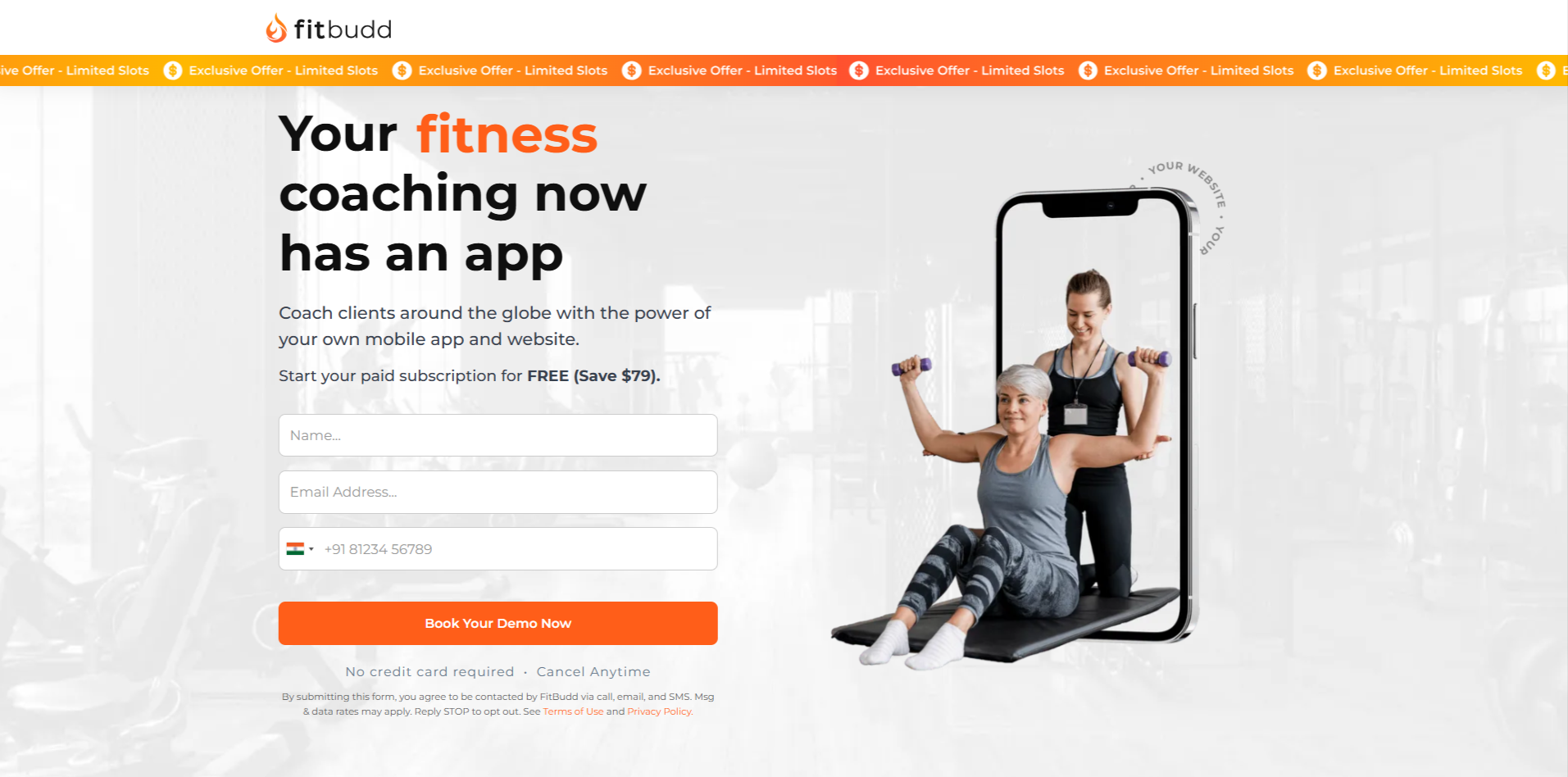 FitBudd logo, branded app platform for online personal trainers
